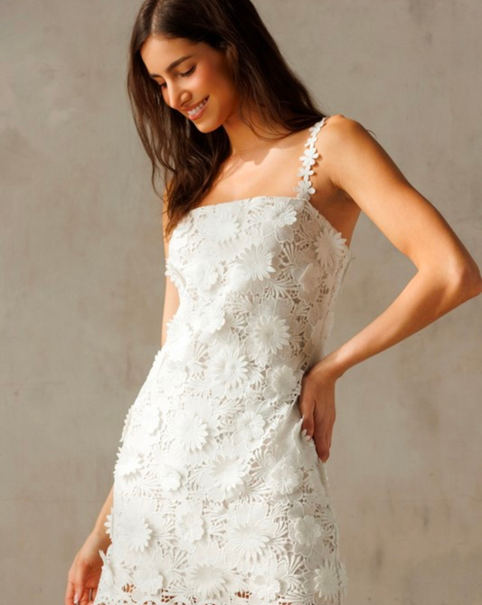 Amour Lace Mini